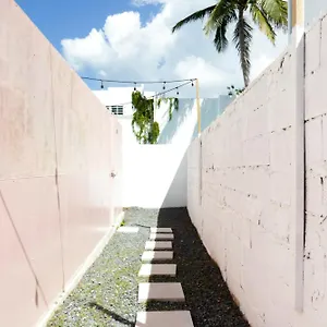 Tropicalia By Dw , San Juan Puerto Rico